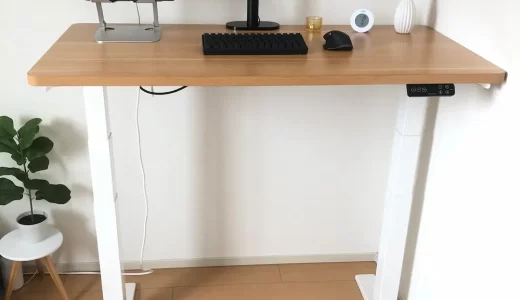 FlexiSpot E7Hを2年使った正直レビュー！ステッパー併用で腰痛が改善